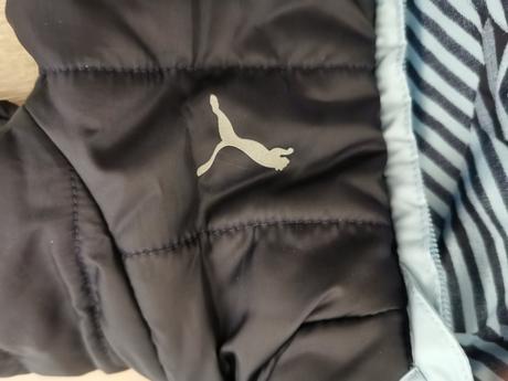 Predam bundicku puma, puma,68