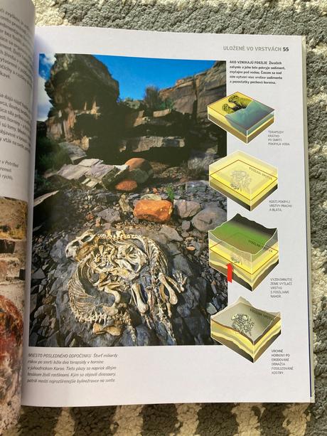 Sily prírody formovanie krajiny (2011), 