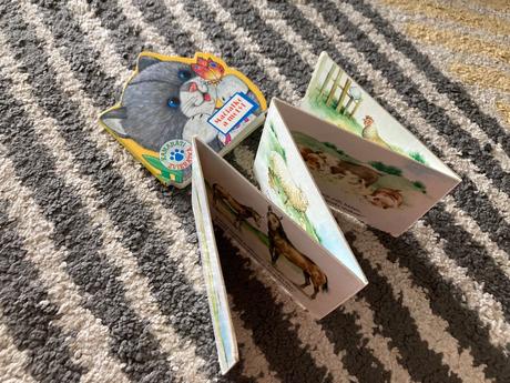 Na dedine, mačiatko a motýľ,