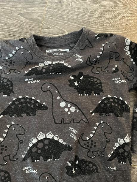 Mikinka s dinosaurami, 98, next, next,98