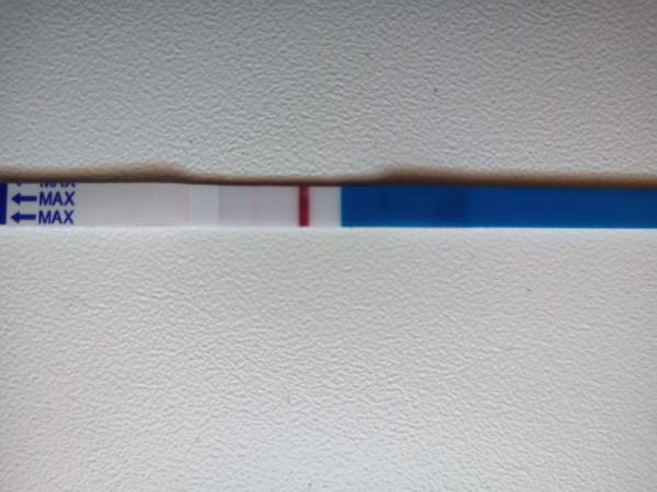 Je to duch, alebo si už domýšľam?