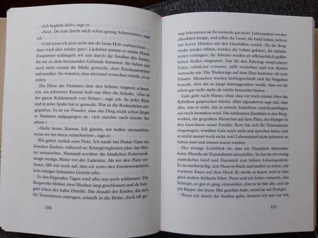 Die tribute von panem - gefährliche liebe,