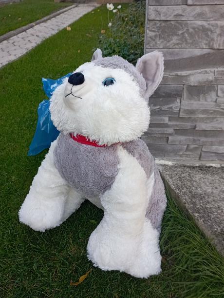 Veľký plyšový psík, 