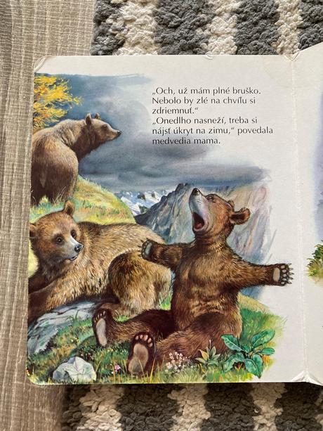 Veselé šteniatka a medvedík na prechádzke, 