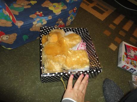 Go create macko ny vypchatie 4+,