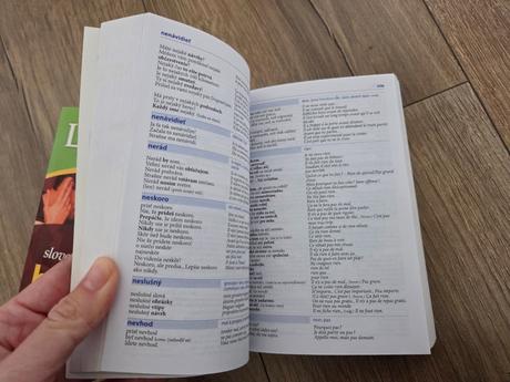Lingea hovorím slovensko- nemecký , slovensko- fra,