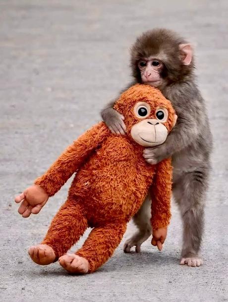 Punch originál opička, 