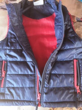 Vesta, coccodrillo,98