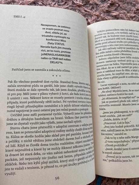 Samec je libo koktejl romantiky s kapkou humoru a,