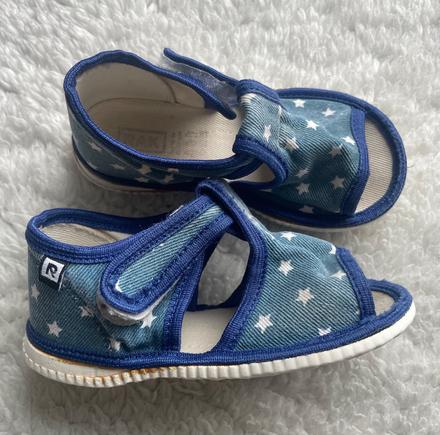 Modre hviezdickove papucky rak, rak,23