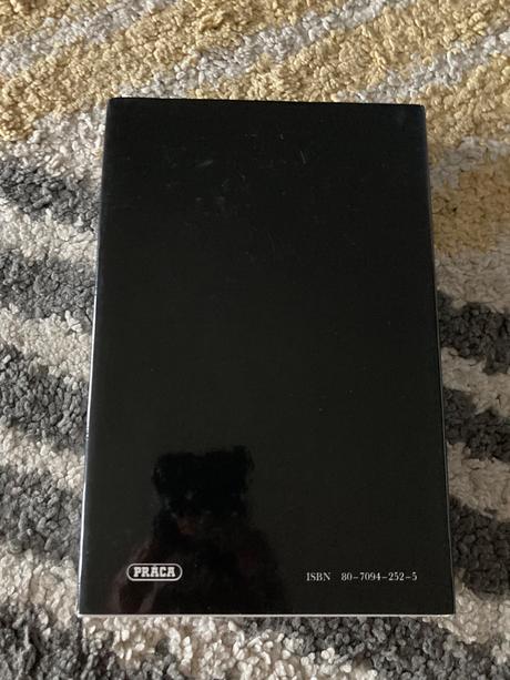 Panna a mučeníčka (1993), 