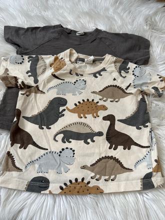 Dvojabalenie tričiek h&m dino, h&m,92