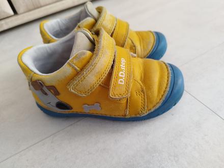 D.d.step, d.d.step,24