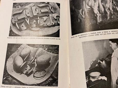 Správna výživa zdravých a chorých tatran 1951, 