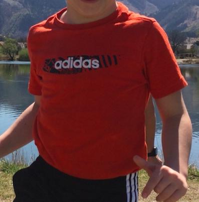 Tričko adidas, adidas,110