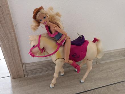 Koník s barbie,