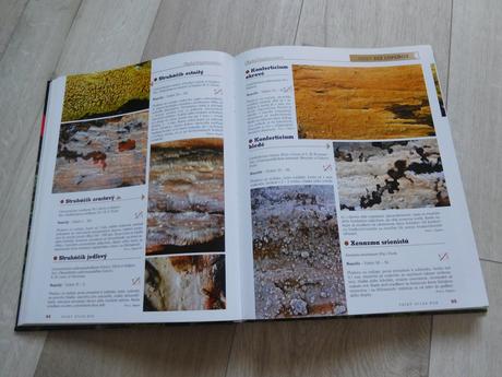 Veľký atlas húb - ladislav hagara, vladimír antoní,