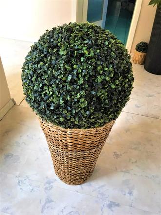 Veľký naturálny kôš/črep,