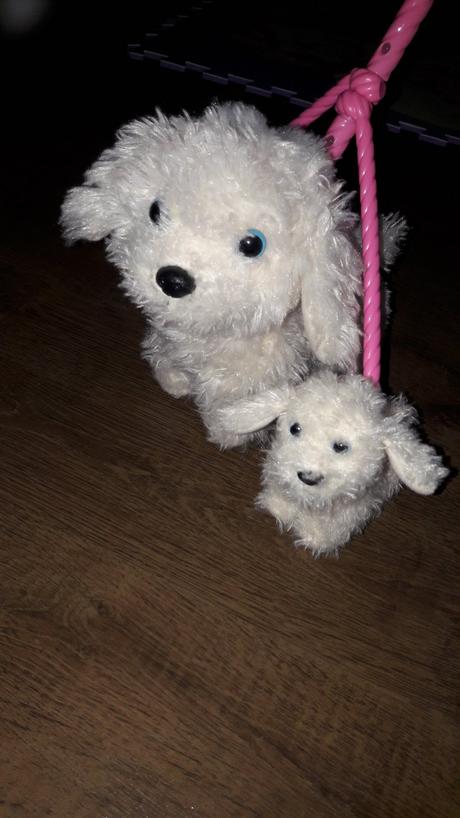 Plyšový psík na vodítku, 