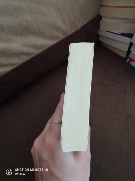 Kniha - nájdem si ťa v ríme,