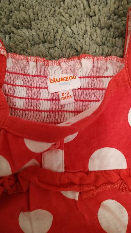 Letné body, bluezoo,56