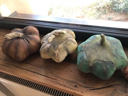 3ks velke handerné tekvice,