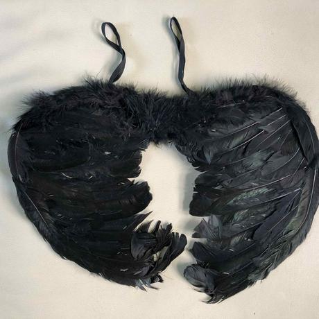 Čierne perové krídla,