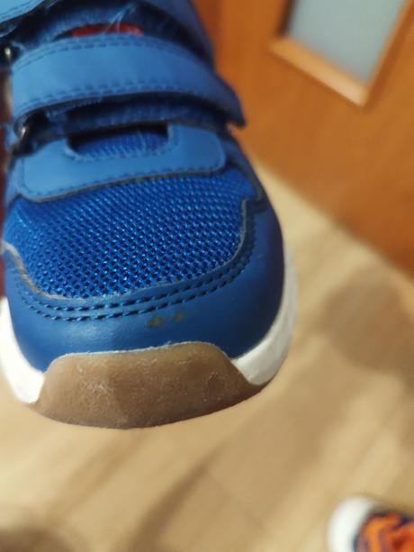 Halovky v. 29 zn. kensis, 29