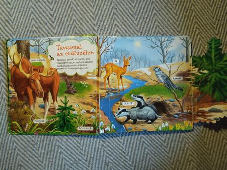 Ki lakik az erdőben,