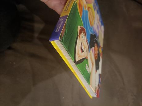 Chrám matky božej v paríži disney, 