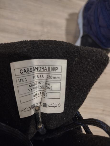 Snehule willard , č. 33, 33