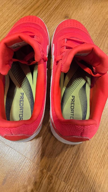 Halovky adidas predator, adidas,36