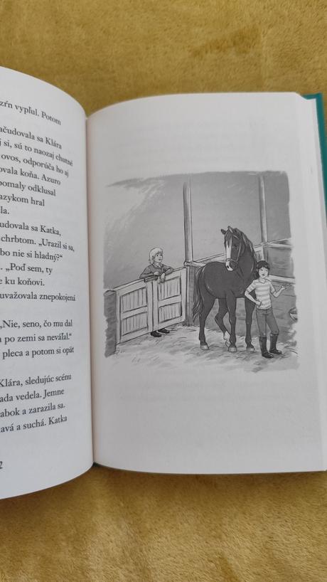 Záhada okolo serafíny,