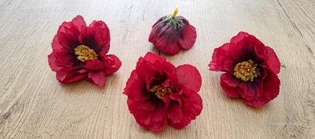 Mak divý - 8 cm - červený, 