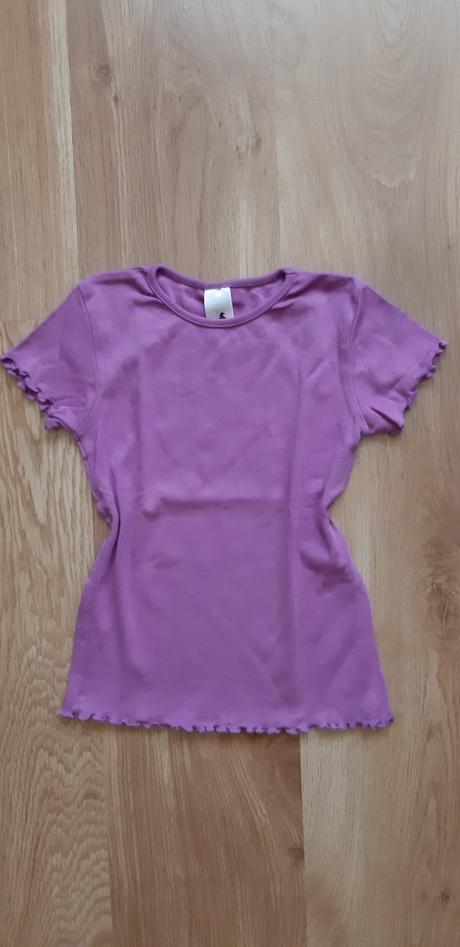 Fialové tričko, palomino,122