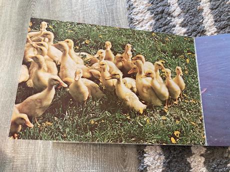 Na dvore i na vode (1990),