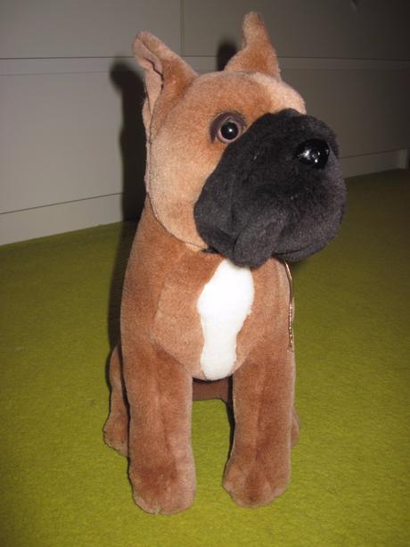 Buldog a boxer,