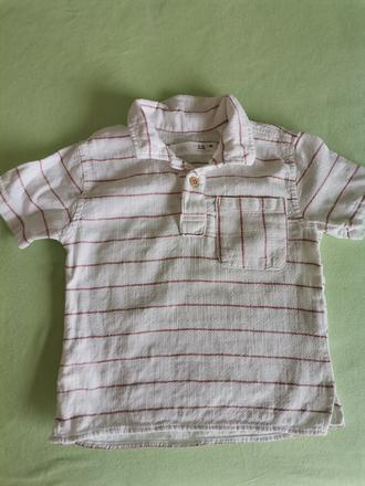 Kosela zara, zara,80