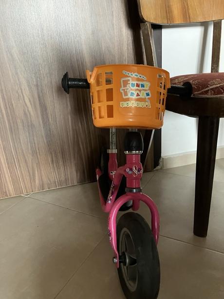 Odrazadlo puky, puky