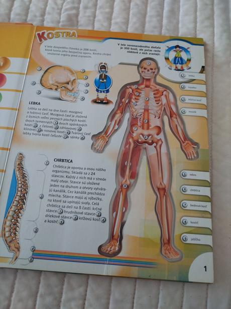 Náučná kniha ľudské telo,