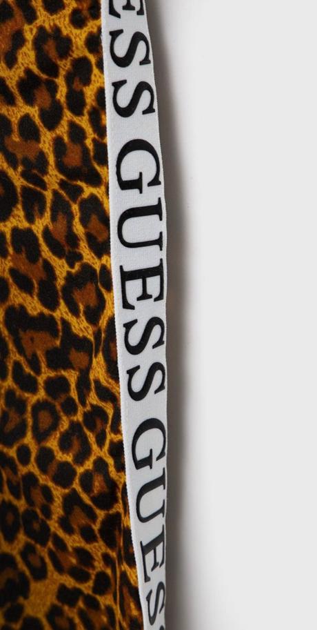 Leginy guess, guess,140