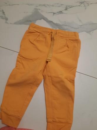 Tepláky, coccodrillo,86