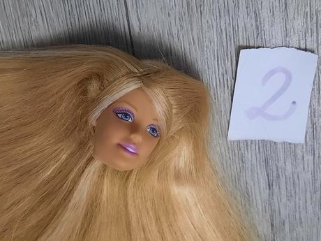 Hlavy barbie bez tela,