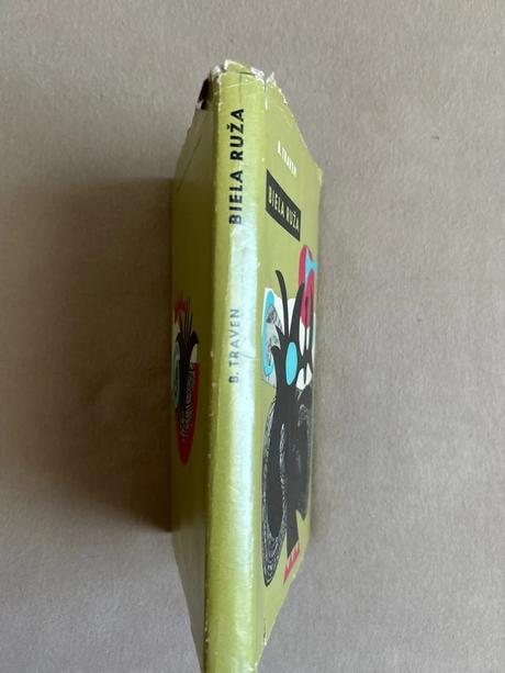 Biela ruža - bruno traven, 