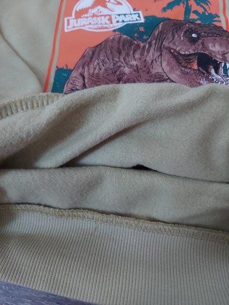 H&m dino mikinka, h&m,98