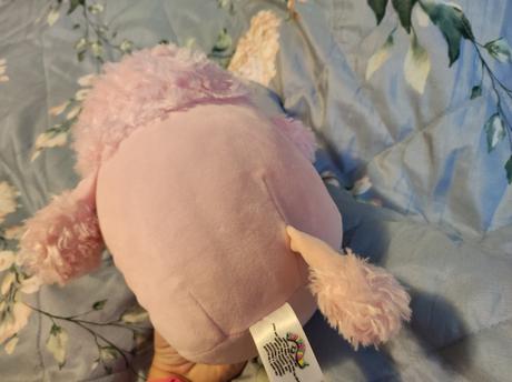 Squishmallo 23cm,
