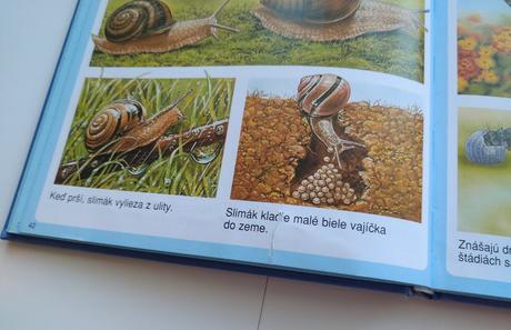 Kniha nové obrázky zvierat,