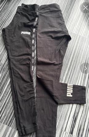 Puma legíny, puma,s
