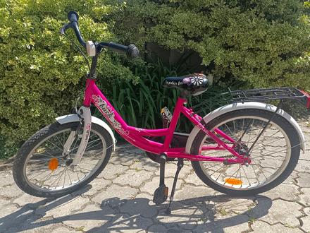 Dievčenský bicykel, 20
