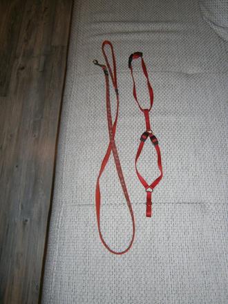 Popruh pre psíka veľkosť s,